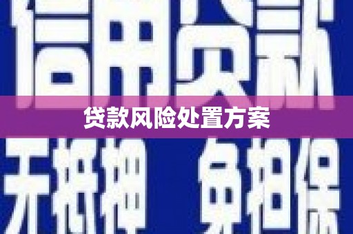 澜沧贷款风险处置方案