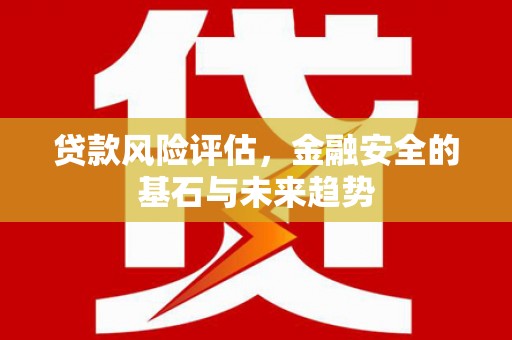 澜沧贷款风险评估，金融安全的基石与未来趋势
