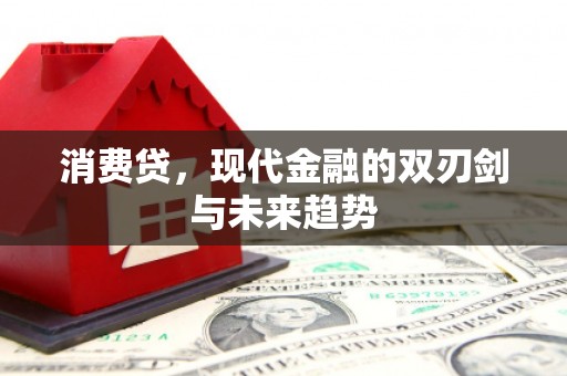 澜沧消费贷，现代金融的双刃剑与未来趋势