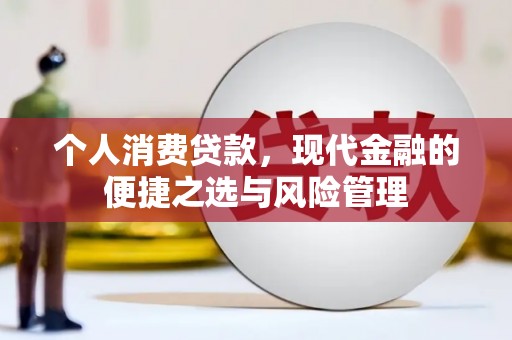 澜沧个人消费贷款，现代金融的便捷之选与风险管理