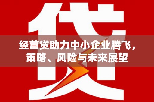 澜沧经营贷助力中小企业腾飞，策略、风险与未来展望