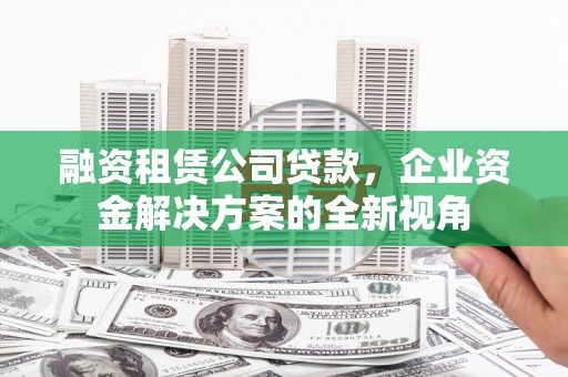 澜沧融资租赁公司贷款，企业资金解决方案的全新视角