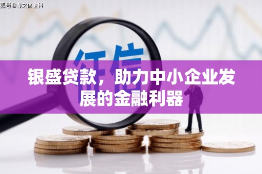 澜沧银盛贷款，助力中小企业发展的金融利器