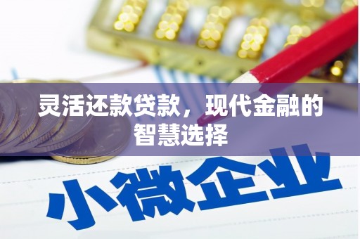 澜沧灵活还款贷款，现代金融的智慧选择