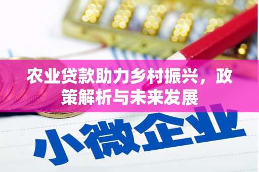 澜沧农业贷款助力乡村振兴，政策解析与未来发展