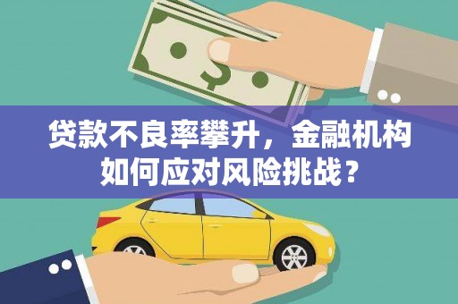 澜沧贷款不良率攀升，金融机构如何应对风险挑战？