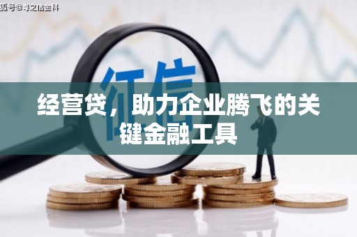 澜沧经营贷，助力企业腾飞的关键金融工具