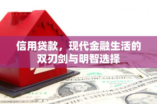 澜沧信用贷款，现代金融生活的双刃剑与明智选择
