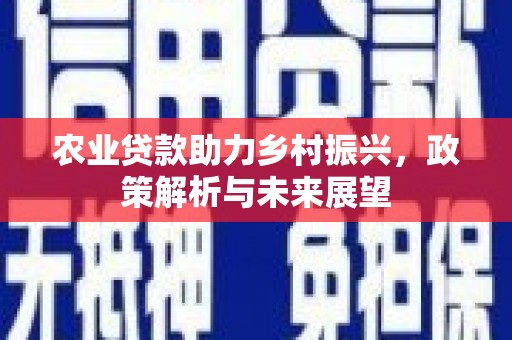 澜沧农业贷款助力乡村振兴，政策解析与未来展望