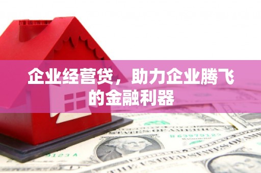 澜沧企业经营贷，助力企业腾飞的金融利器