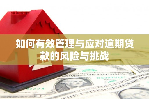澜沧如何有效管理与应对逾期贷款的风险与挑战