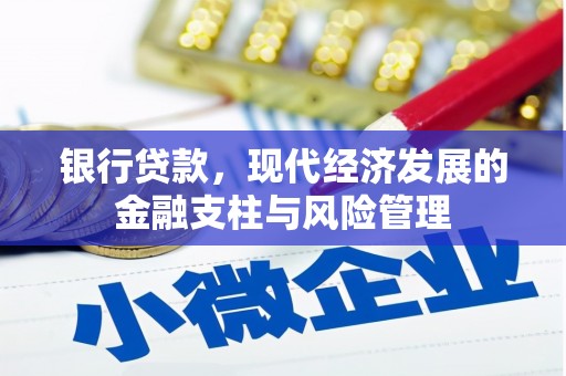 澜沧银行贷款，现代经济发展的金融支柱与风险管理