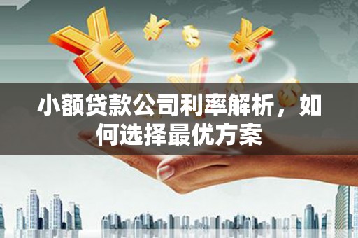 澜沧小额贷款公司利率解析，如何选择最优方案
