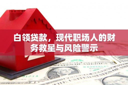 澜沧白领贷款，现代职场人的财务救星与风险警示