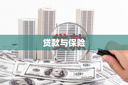 澜沧贷款与保险