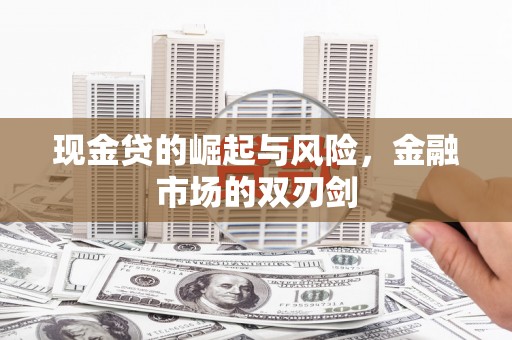 澜沧现金贷的崛起与风险，金融市场的双刃剑