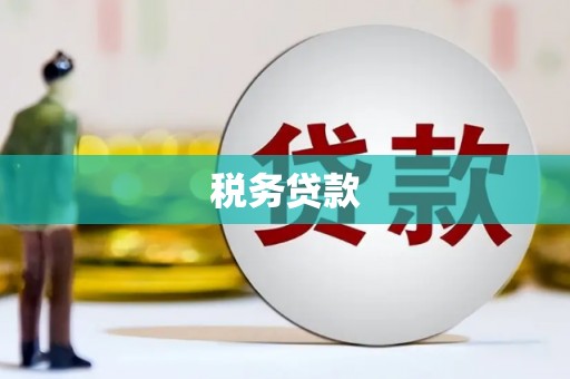 澜沧税务贷款