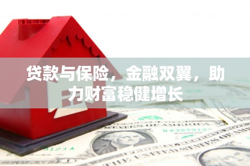澜沧贷款与保险，金融双翼，助力财富稳健增长