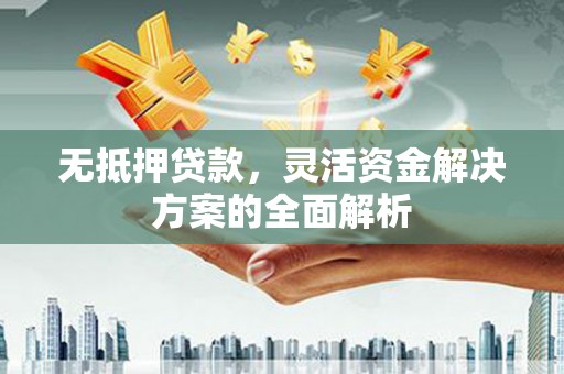 澜沧无抵押贷款，灵活资金解决方案的全面解析