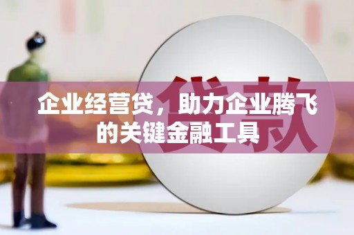 澜沧企业经营贷，助力企业腾飞的关键金融工具