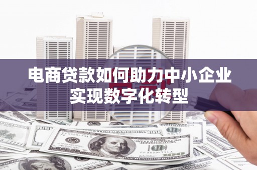 澜沧电商贷款如何助力中小企业实现数字化转型