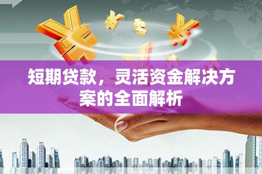 澜沧短期贷款，灵活资金解决方案的全面解析