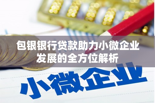 澜沧包银银行贷款助力小微企业发展的全方位解析 澜沧包银银行贷款助力小微企业发展的全方位解析