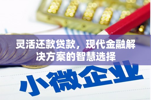 澜沧灵活还款贷款，现代金融解决方案的智慧选择