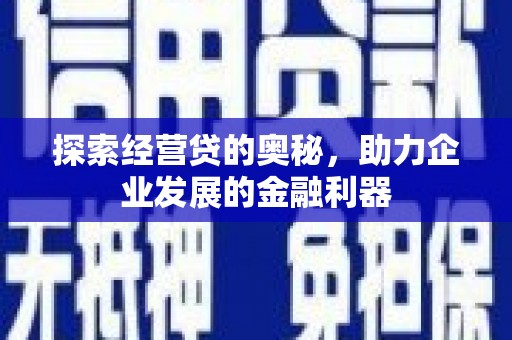 澜沧探索经营贷的奥秘，助力企业发展的金融利器
