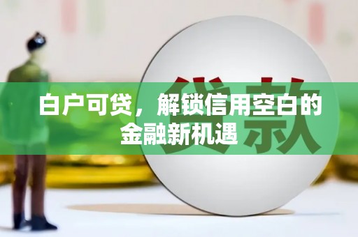澜沧白户可贷，解锁信用空白的金融新机遇