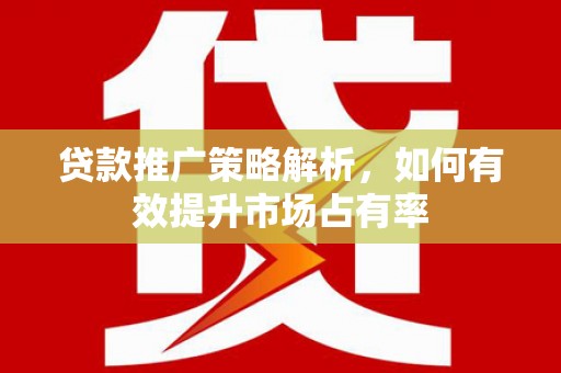 澜沧贷款推广策略解析，如何有效提升市场占有率