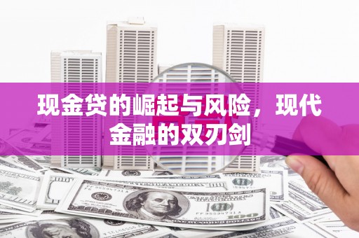 澜沧现金贷的崛起与风险，现代金融的双刃剑