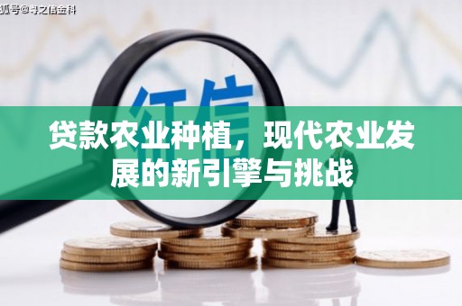 澜沧贷款农业种植，现代农业发展的新引擎与挑战