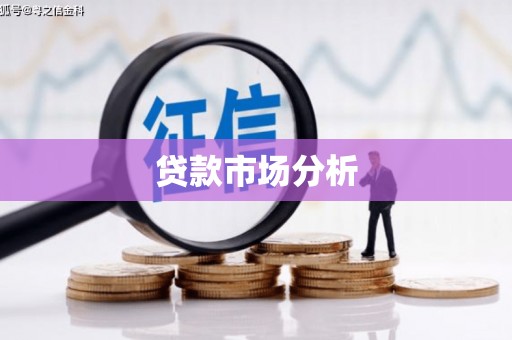 澜沧贷款市场分析