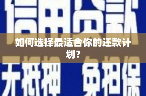 澜沧如何选择最适合你的还款计划？