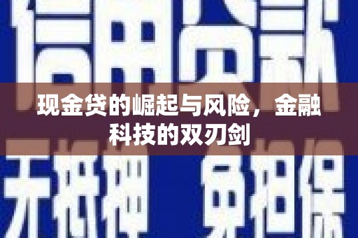 澜沧现金贷的崛起与风险，金融科技的双刃剑