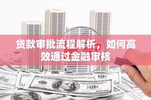 澜沧贷款审批流程解析，如何高效通过金融审核