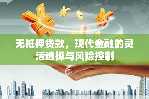 澜沧无抵押贷款，现代金融的灵活选择与风险控制