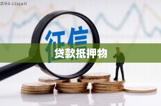 澜沧贷款抵押物