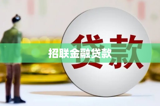 澜沧招联金融贷款
