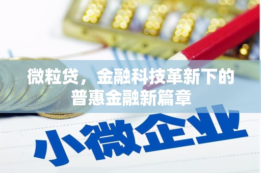 澜沧微粒贷，金融科技革新下的普惠金融新篇章
