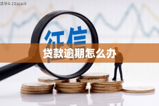 澜沧贷款逾期怎么办