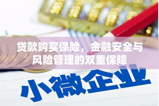 澜沧贷款购买保险，金融安全与风险管理的双重保障