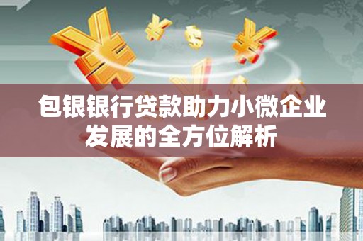 澜沧包银银行贷款助力小微企业发展的全方位解析
