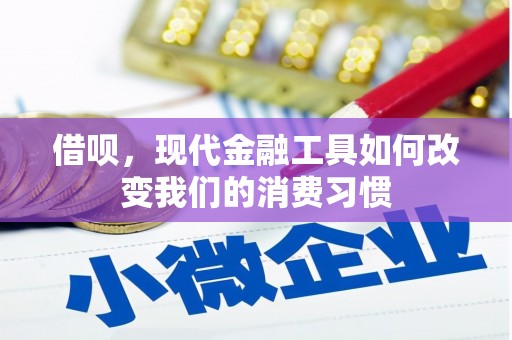 澜沧借呗，现代金融工具如何改变我们的消费习惯