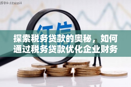 澜沧探索税务贷款的奥秘，如何通过税务贷款优化企业财务