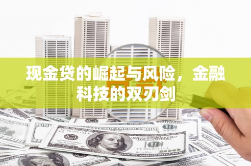 澜沧现金贷的崛起与风险，金融科技的双刃剑
