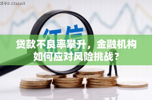 澜沧贷款不良率攀升，金融机构如何应对风险挑战？