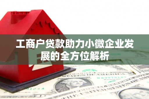 澜沧工商户贷款助力小微企业发展的全方位解析