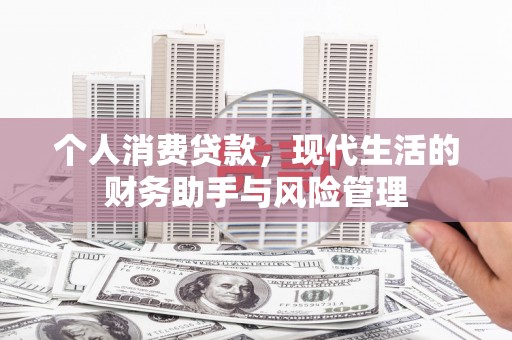 澜沧个人消费贷款，现代生活的财务助手与风险管理